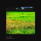 dailyPhoto4